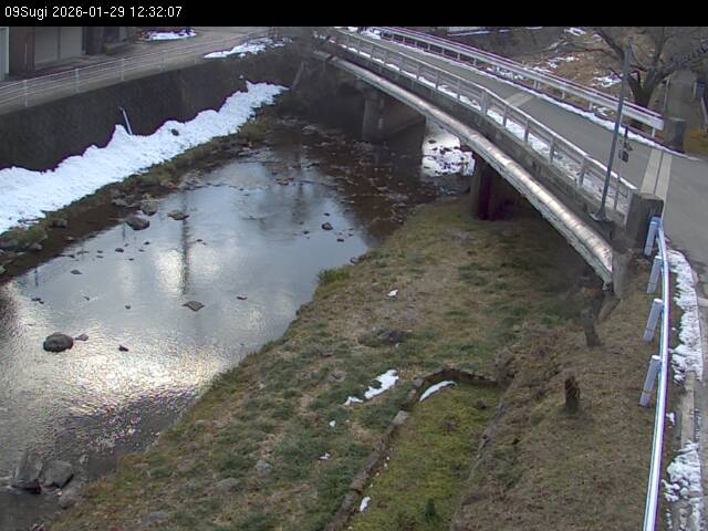 最新監視カメラ画像