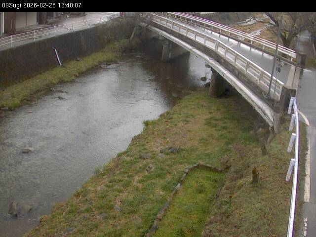 最新監視カメラ画像