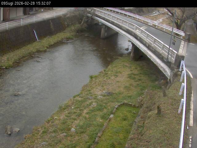 最新監視カメラ画像