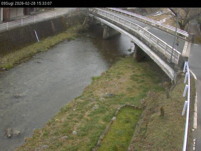 最新監視カメラ画像