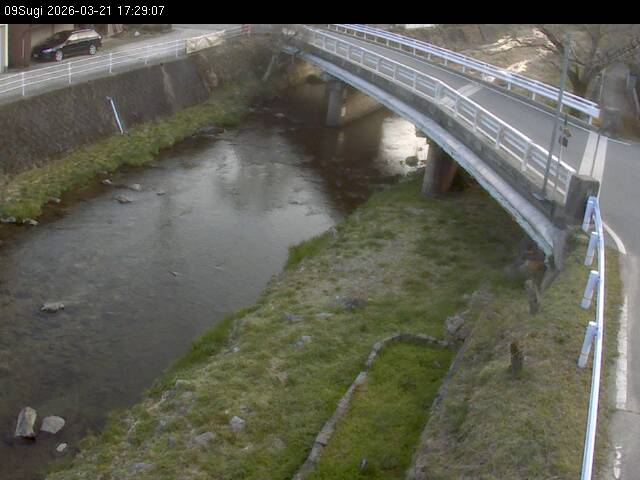 最新監視カメラ画像