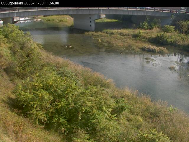 最新監視カメラ画像