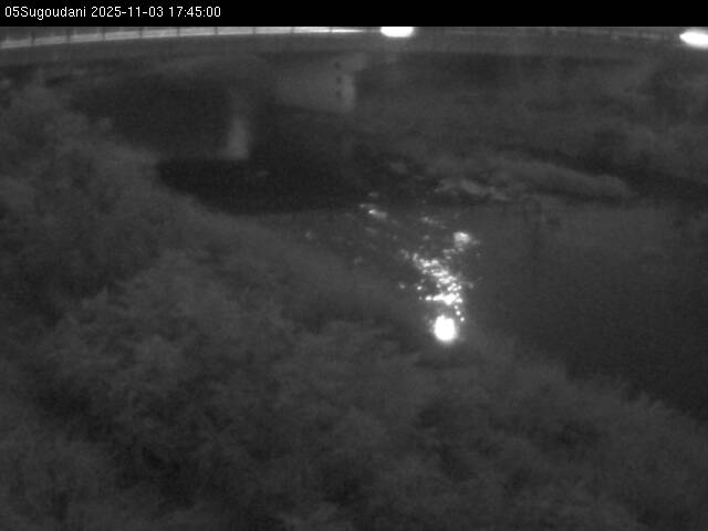 最新監視カメラ画像