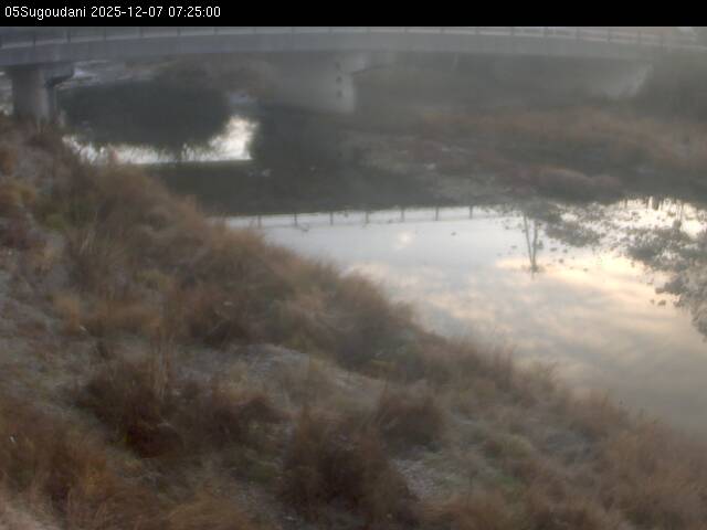 最新監視カメラ画像