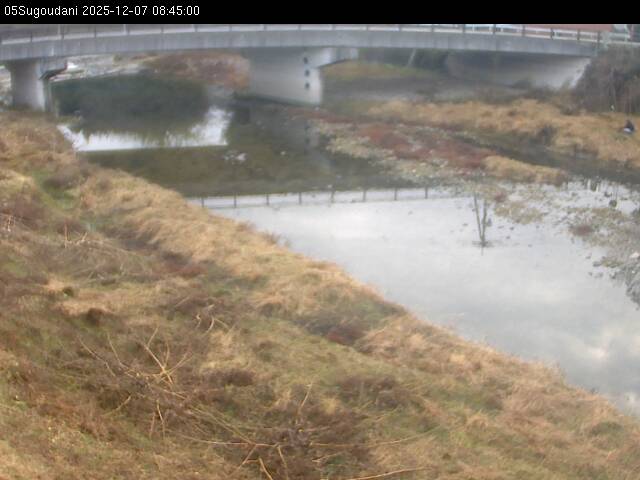 最新監視カメラ画像