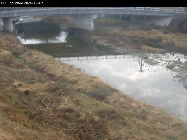 最新監視カメラ画像