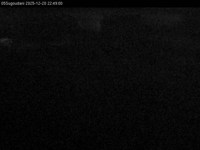 最新監視カメラ画像