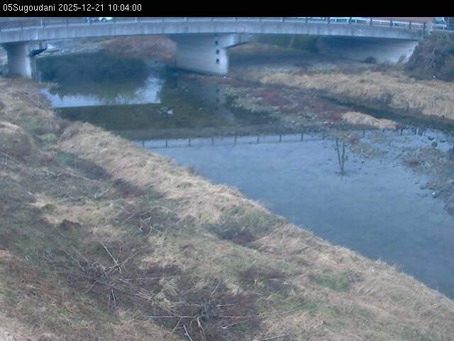 最新監視カメラ画像