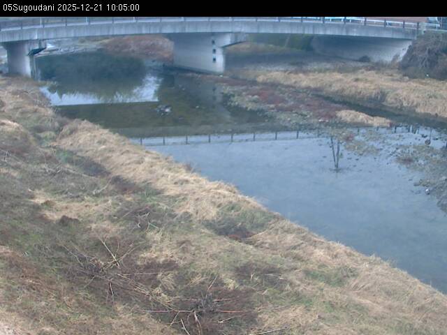 最新監視カメラ画像