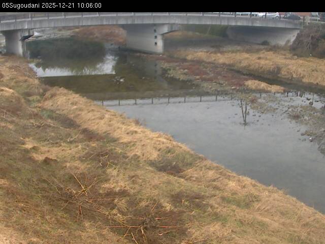 最新監視カメラ画像