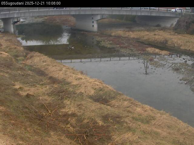 最新監視カメラ画像