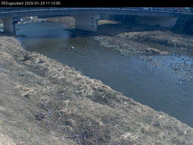 最新監視カメラ画像