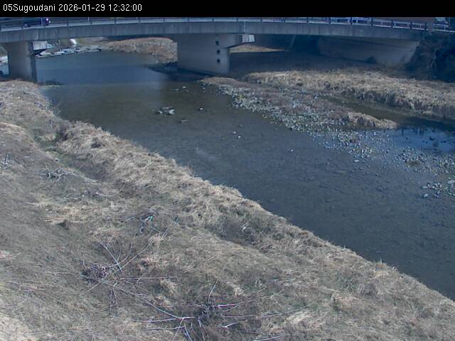 最新監視カメラ画像