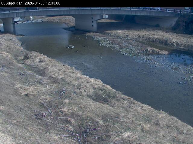 最新監視カメラ画像