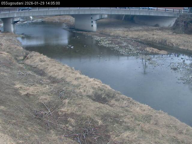 最新監視カメラ画像