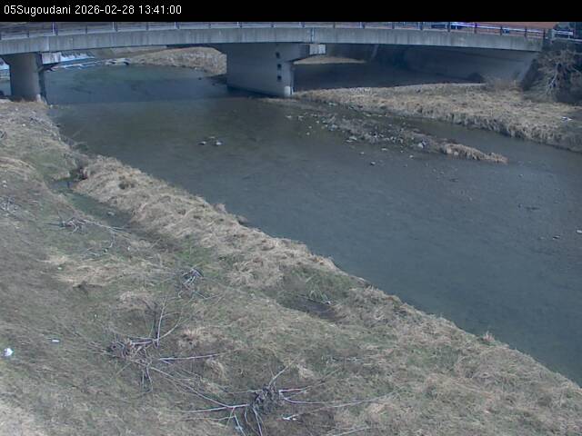 最新監視カメラ画像