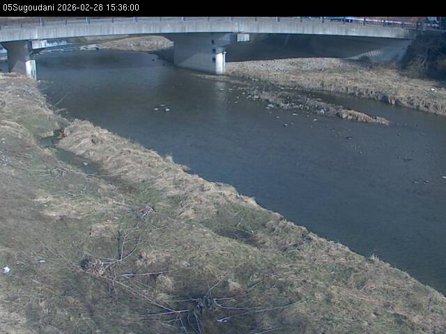 最新監視カメラ画像