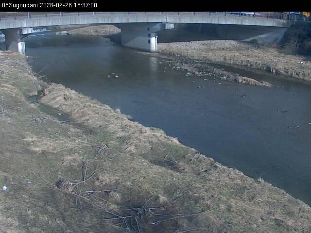 最新監視カメラ画像