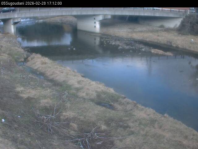 最新監視カメラ画像