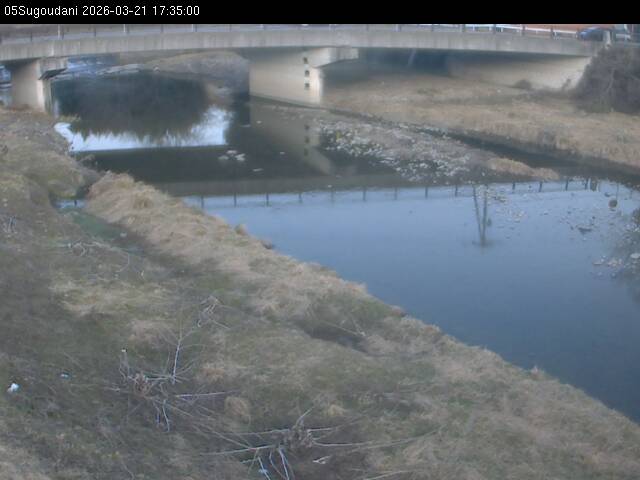 最新監視カメラ画像