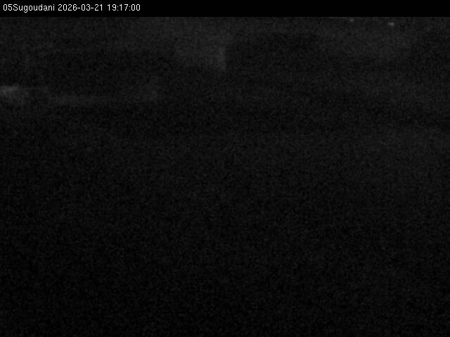 最新監視カメラ画像