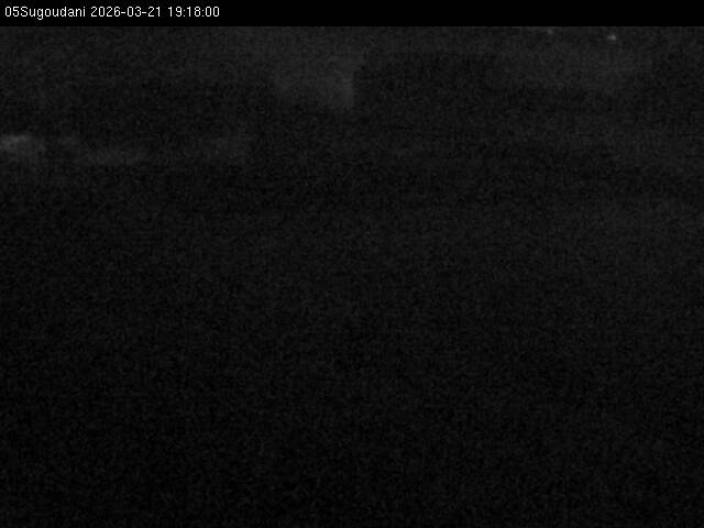 最新監視カメラ画像