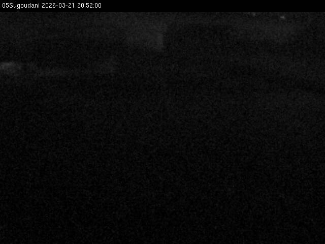 最新監視カメラ画像