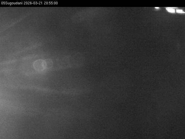 最新監視カメラ画像