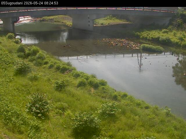最新監視カメラ画像