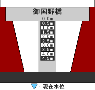 河床断面図