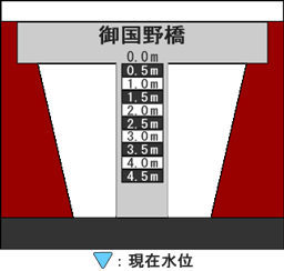 河床断面図