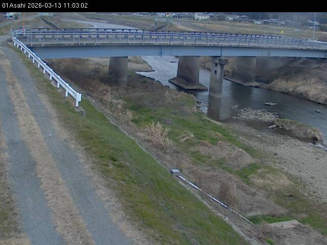 最新監視カメラ画像