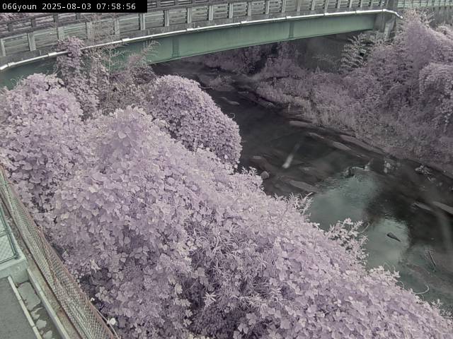 最新監視カメラ画像