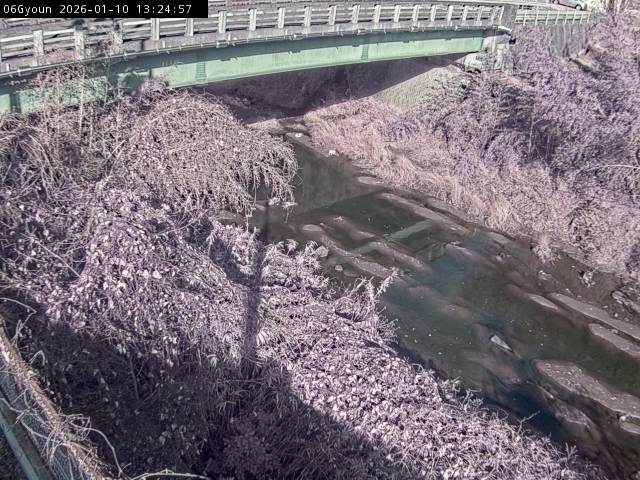 最新監視カメラ画像