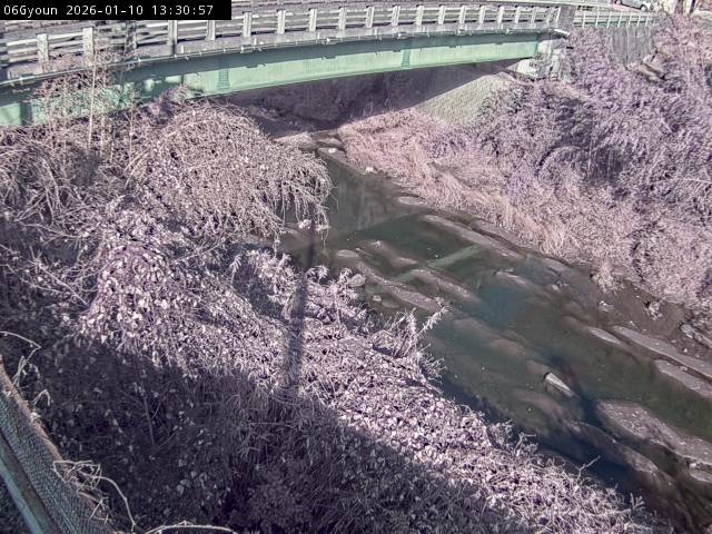 最新監視カメラ画像