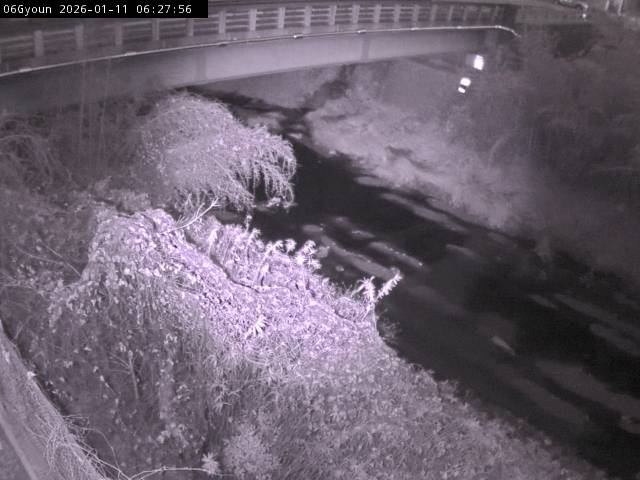 最新監視カメラ画像