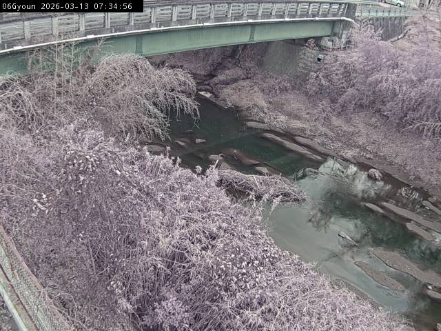 最新監視カメラ画像