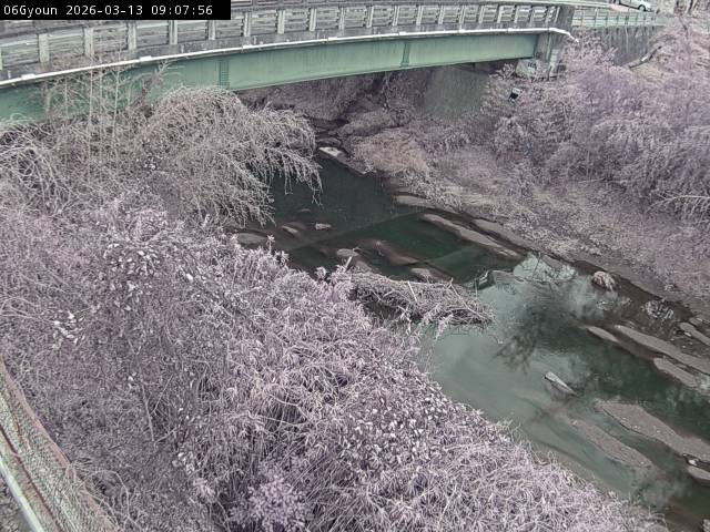 最新監視カメラ画像