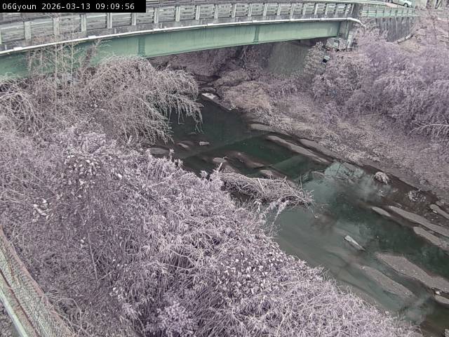 最新監視カメラ画像