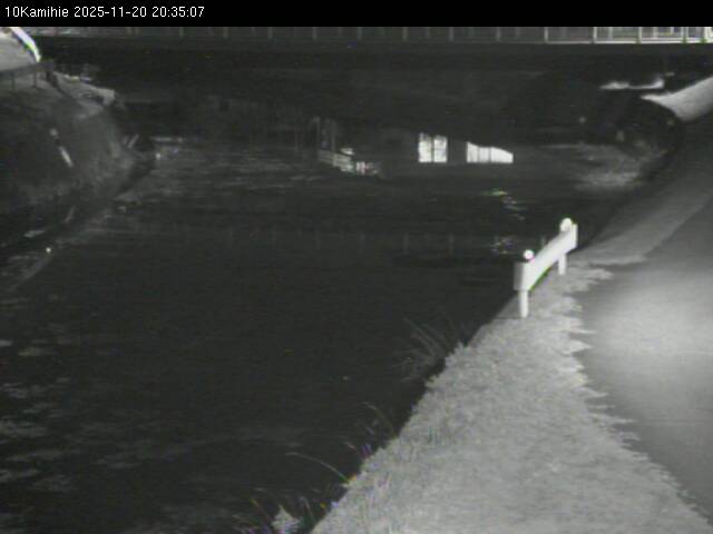 最新監視カメラ画像