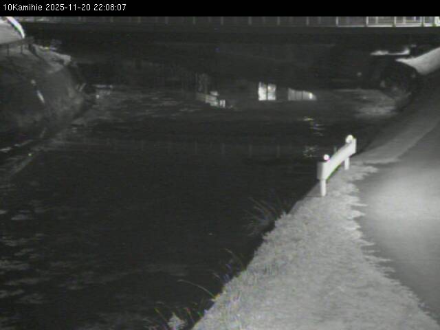 最新監視カメラ画像