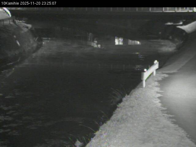 最新監視カメラ画像