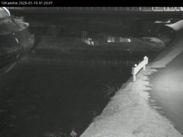 最新監視カメラ画像