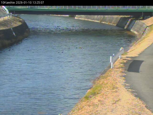 最新監視カメラ画像