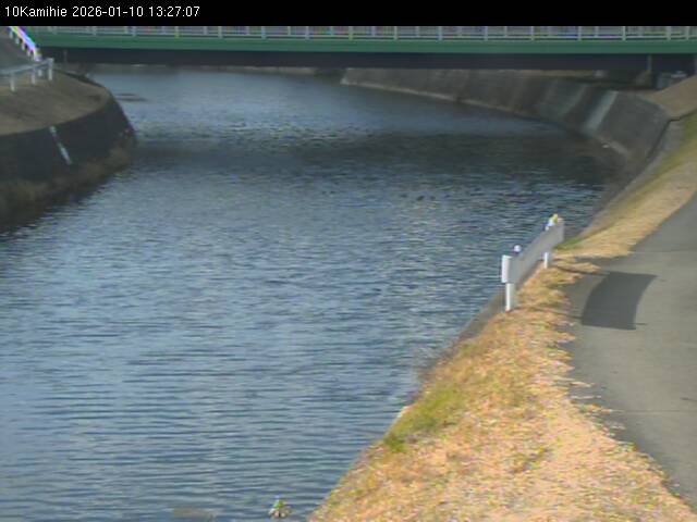 最新監視カメラ画像