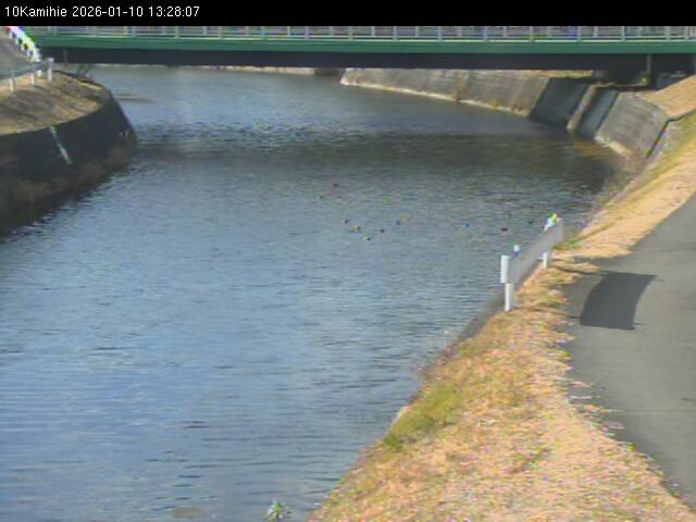 最新監視カメラ画像