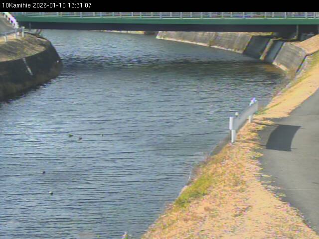 最新監視カメラ画像