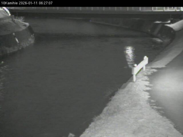 最新監視カメラ画像