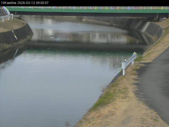 最新監視カメラ画像