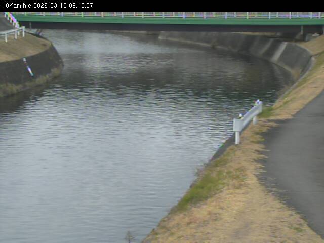 最新監視カメラ画像